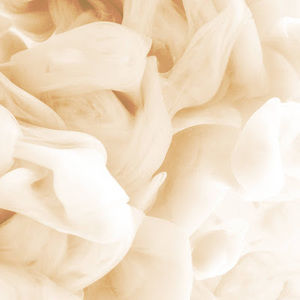 Meet your Posher, Sidney